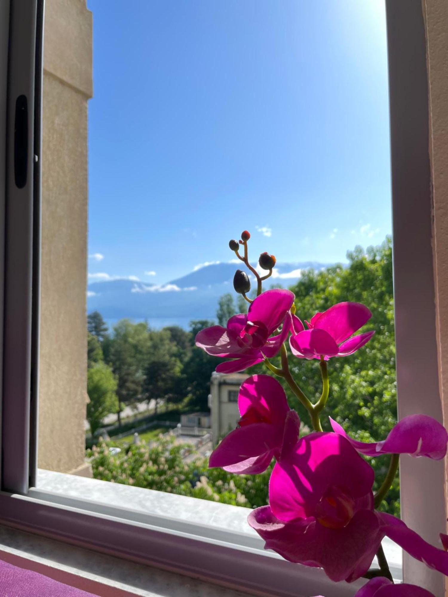 Lake View Pogradec Exterior photo